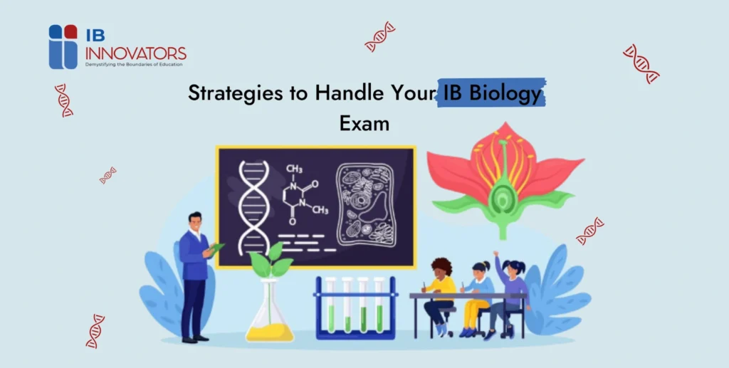 Strategies to Handle Your IBDP Biology Exam